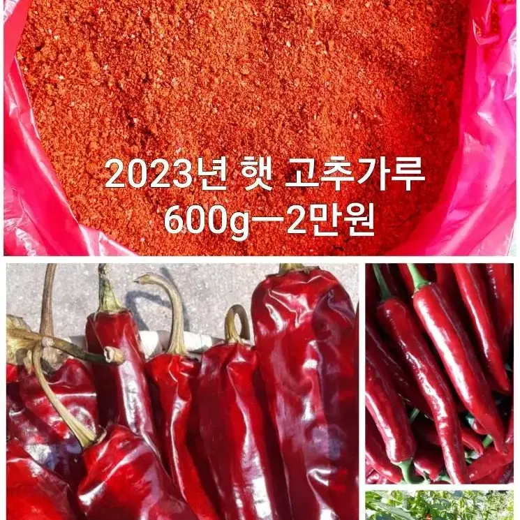 프로월드컵 자켓