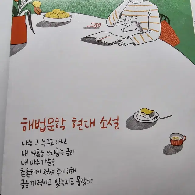 해법문학 5권세트