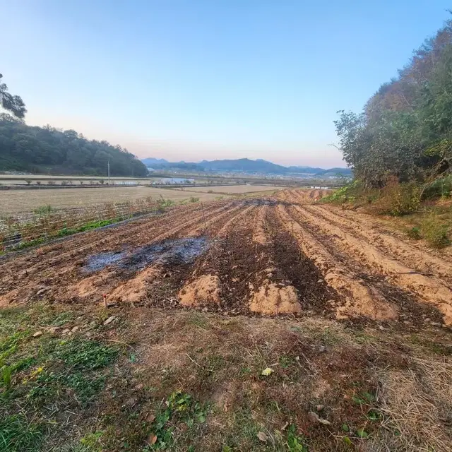 부동산직거래