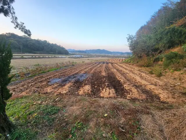 부동산직거래