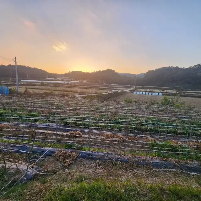 부동산직거래