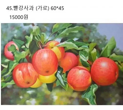 매장정리-45.빨강사과보석십자수