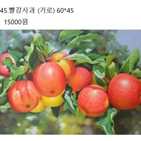 매장정리-45.빨강사과보석십자수