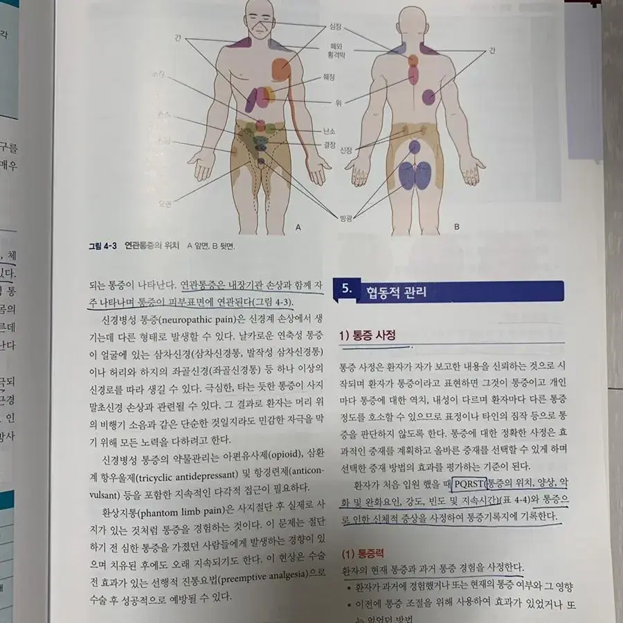 성인간호학 수문사 1,2 아홉번째판