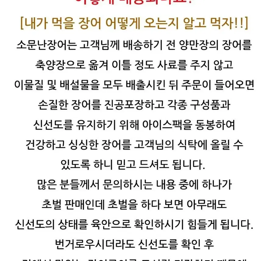 1종 자포이카 민물장어