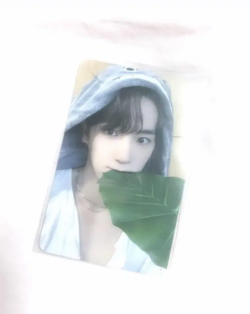 The Boyz hyunjae everline ld Totoro Blanket WTS