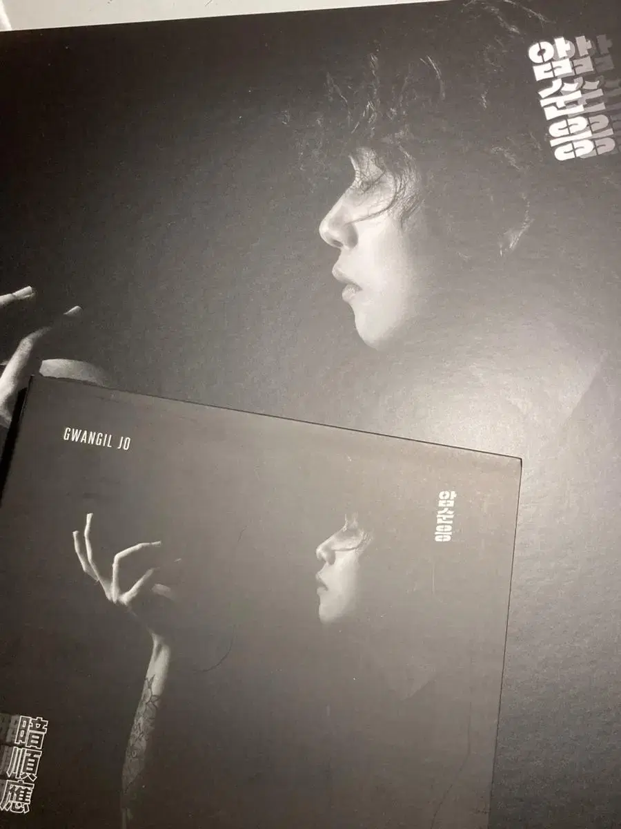 조광일 암순응 LP CD 일괄