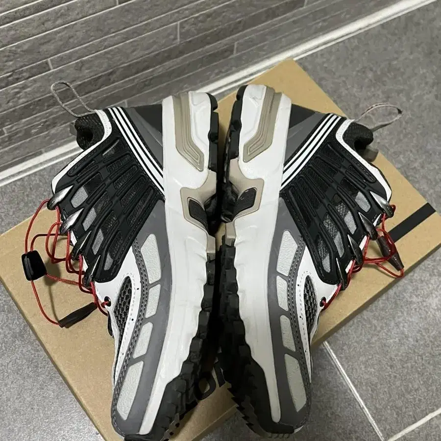 살로몬 ACS pro beluga