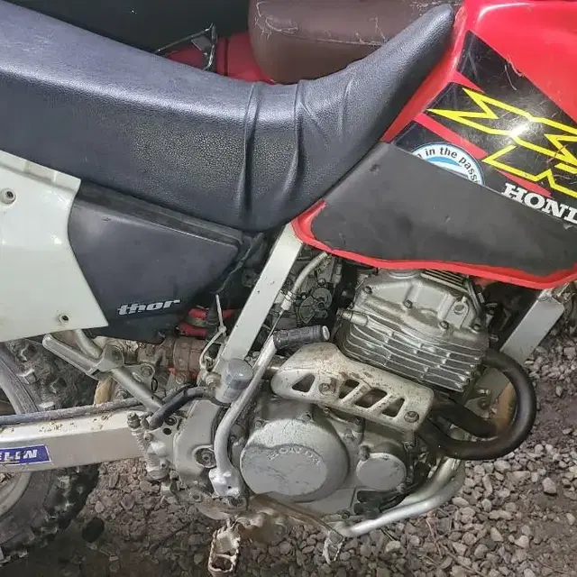 xr250