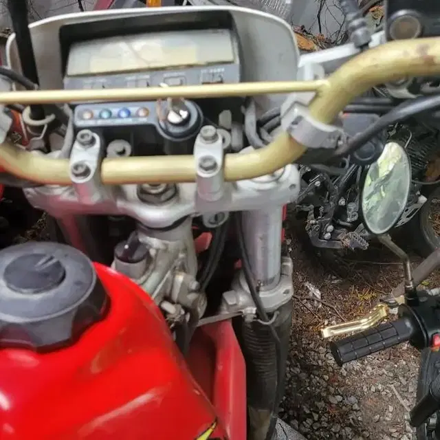 xr250