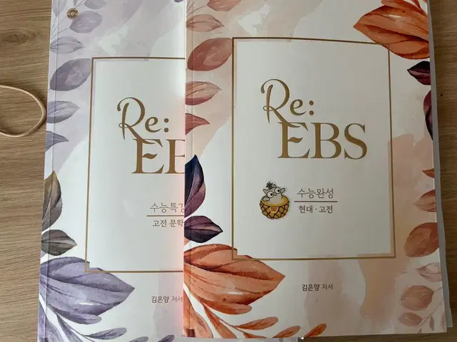 김은양 reebs 수특 고전문학, 수완 국어 시대인재