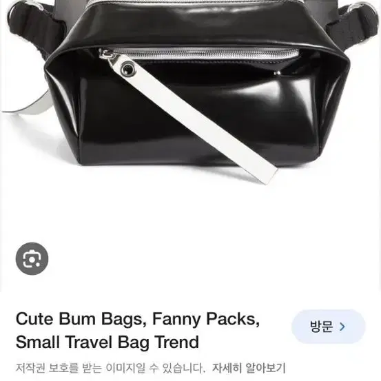 Proenza Schouler 프로엔자슐러 fanny pack