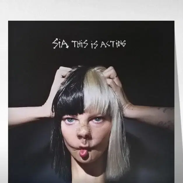 Sia lp 구해요