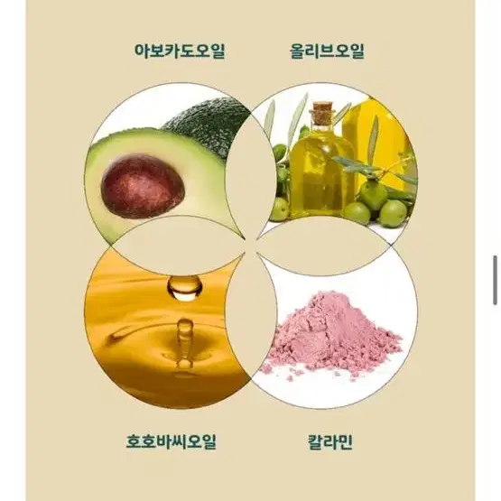 체이싱래빗 온리원 얼스 밤