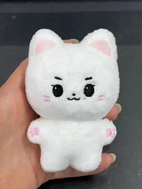 Sung hanbin doll hambean wts