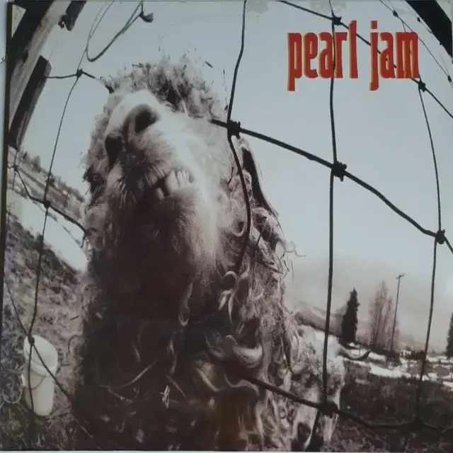 PEARL JAM - VS LP(직배발매앨범)