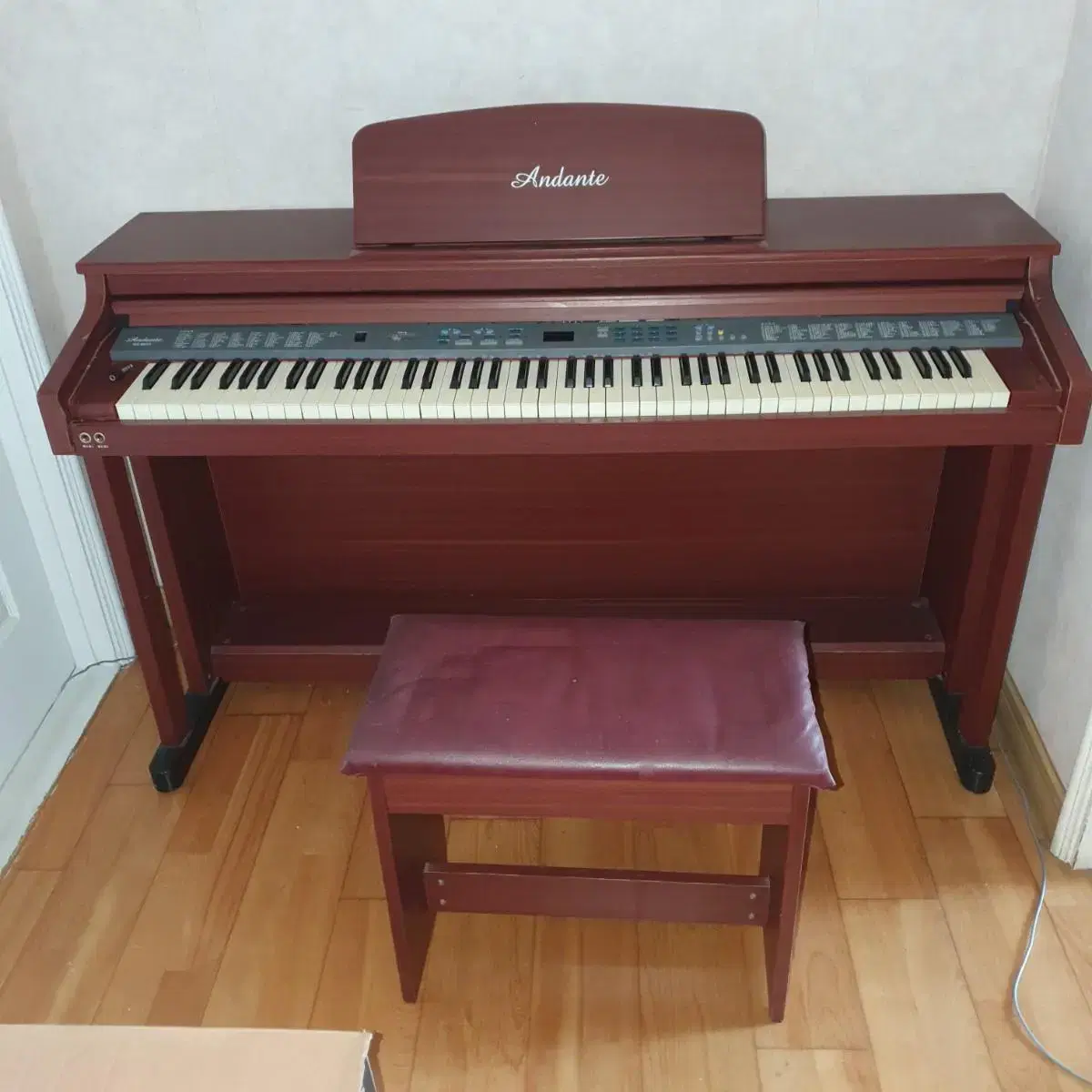 Andante digital piano for sale.