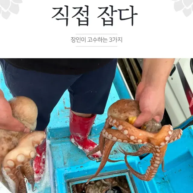 산지푸드 프리미엄 자연산 돌문어 1kg 통영 국내산