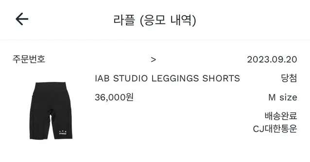 (W) IAB Studio Leggings Shorts Black