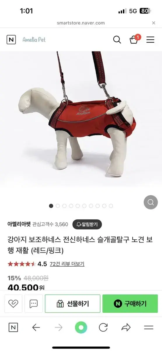 강아지 보조하네스 보행 재활