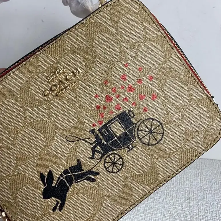 코치 COACH CE609 설날 박스 크로스바디 시그니처 래빗 캐리지 3