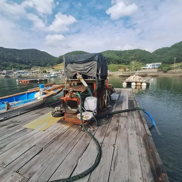 굴채취기 + 뗏목 일괄 판매합니다.