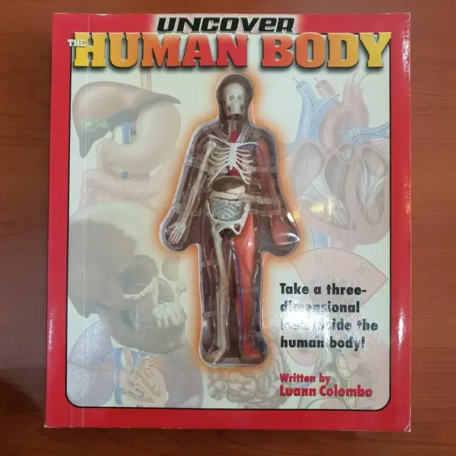 uncover the human body 외국서적 (파손있음)