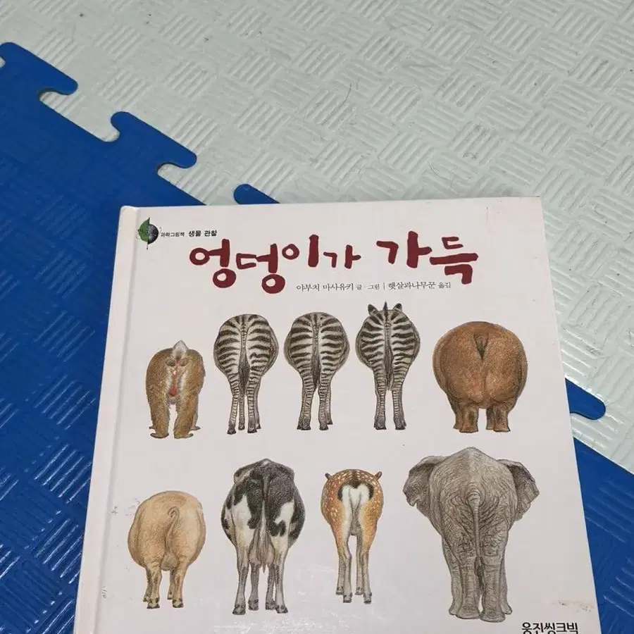 엉덩이가 가득 영아책 그림책 동화책 동물책