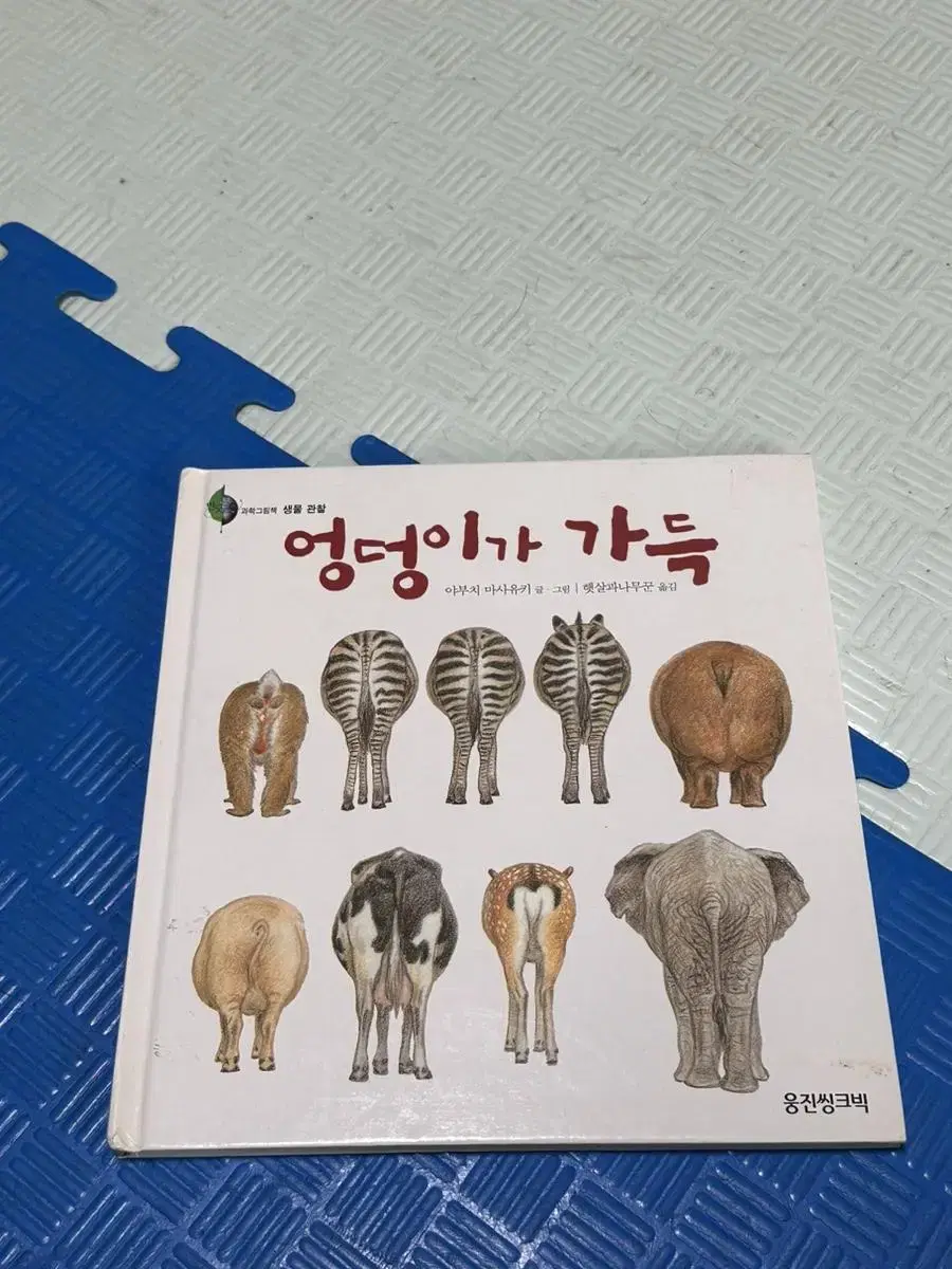 엉덩이가 가득 영아책 그림책 동화책 동물책