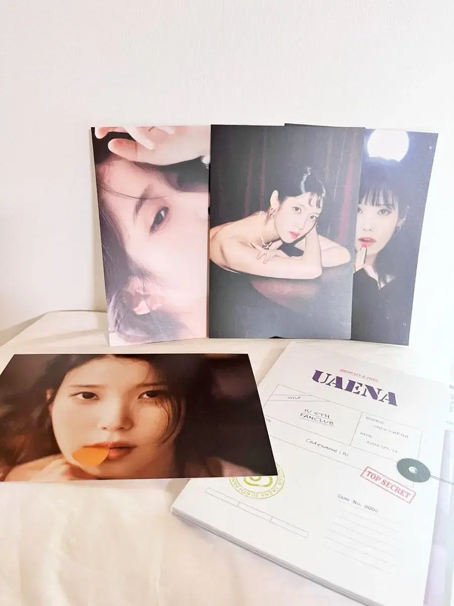 IU Fan Club YooAna 6th Season kit Mini Poster photobook Photo Card