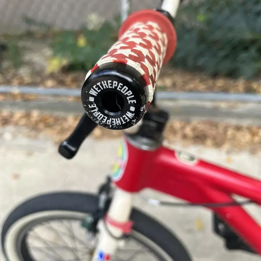 [BMX]KHE Easyrider 커스텀 플랫랜드