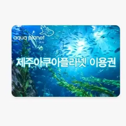 제주 아쿠아플라넷 종합권