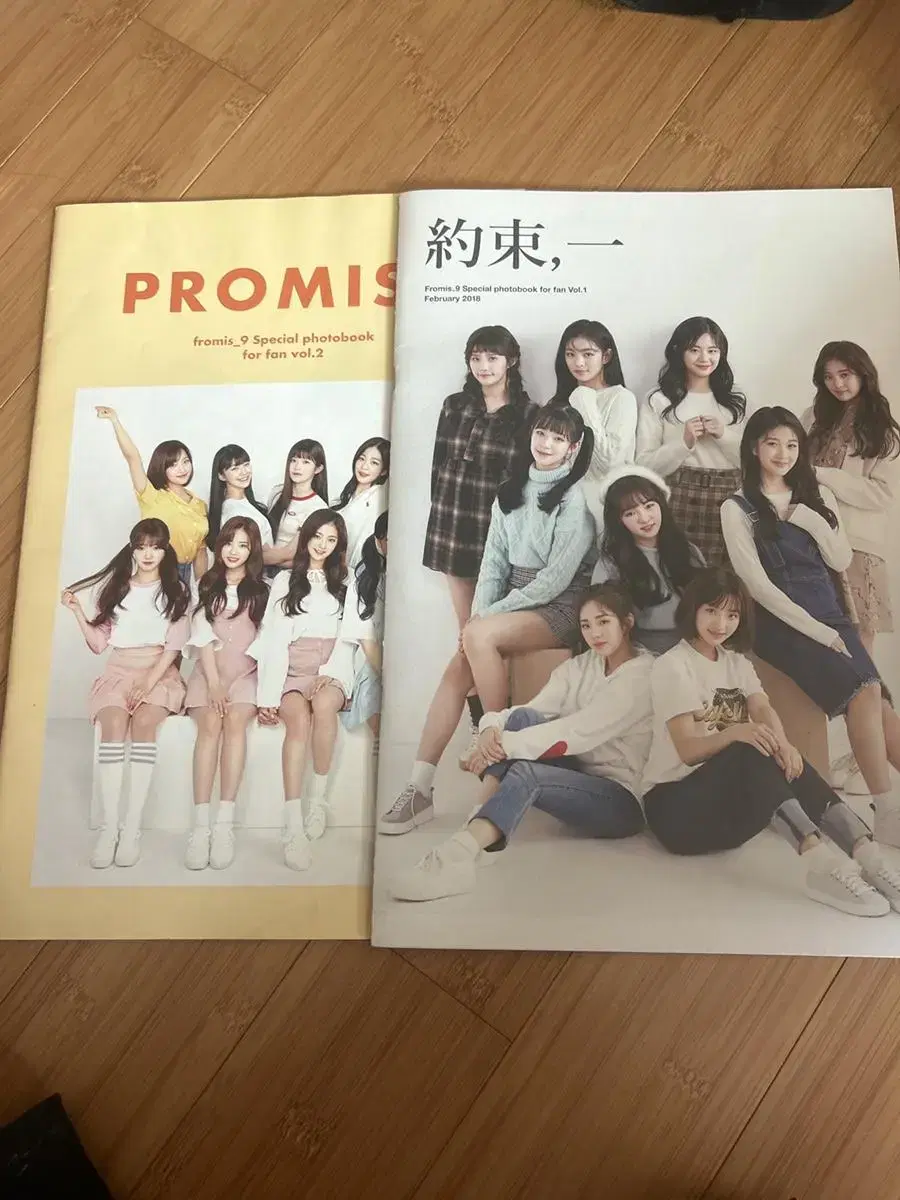 Fromis 9 appointment letter