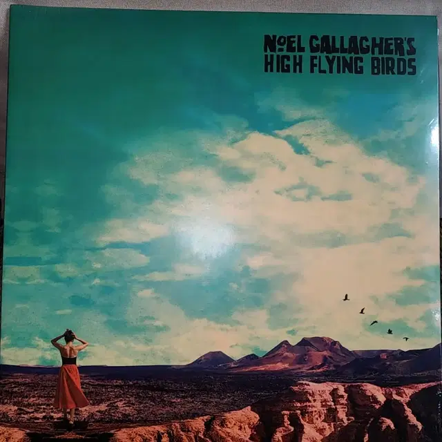 노엘갤러거 lp 엘피 noel gallagher's high flying