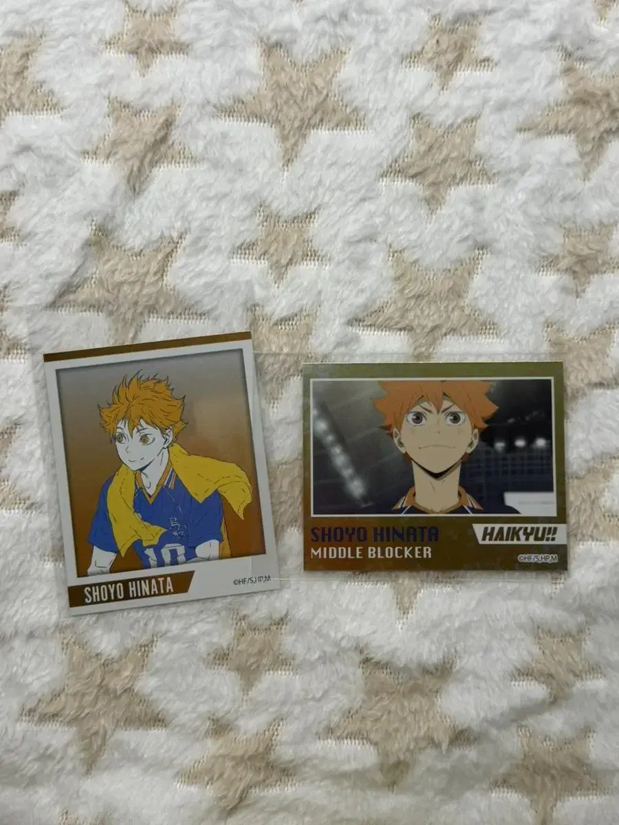 Bulk ) haikyuu hinata Osamu Shoyomiya stickers