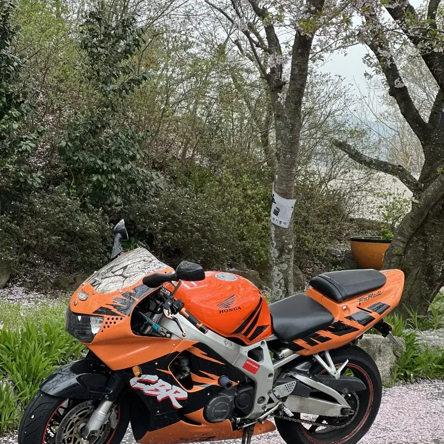 cbr900rr