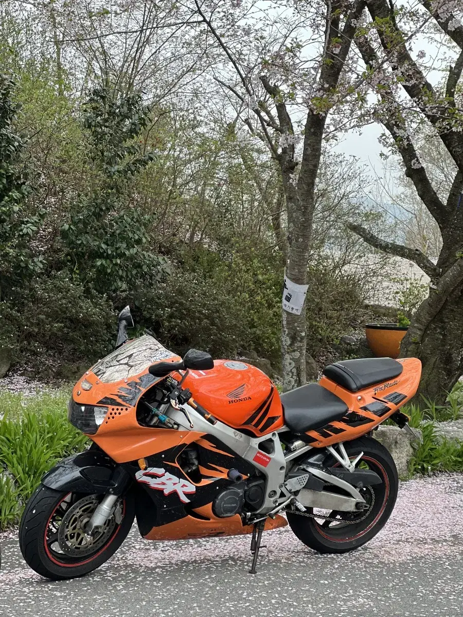 cbr900rr