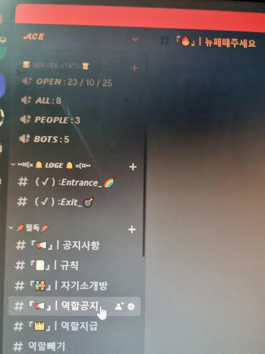 디스코드 서버 외주합니다 | 브랜드 중고거래 플랫폼, 번개장터