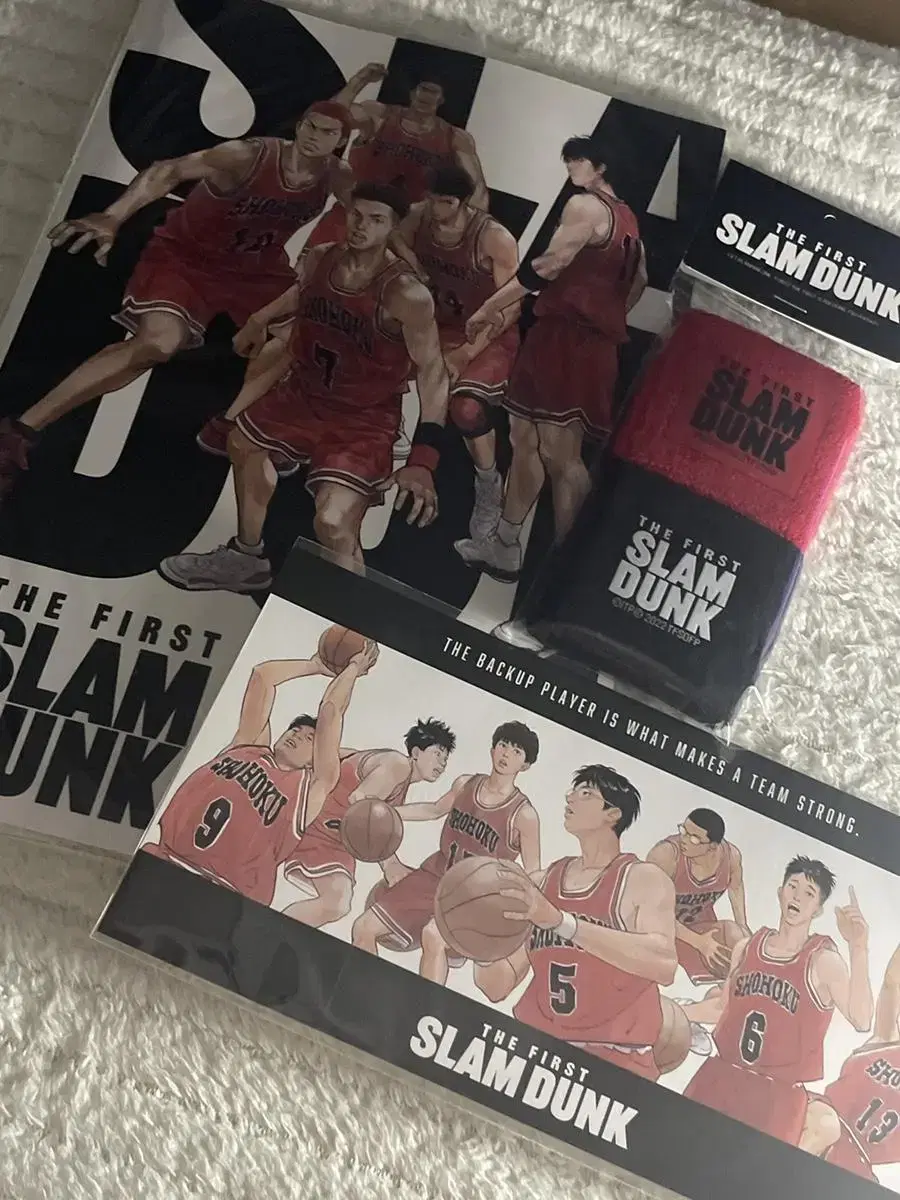 SLAM DUNK pamphlet, Song Tae-Sup unsealed, sealed postcard