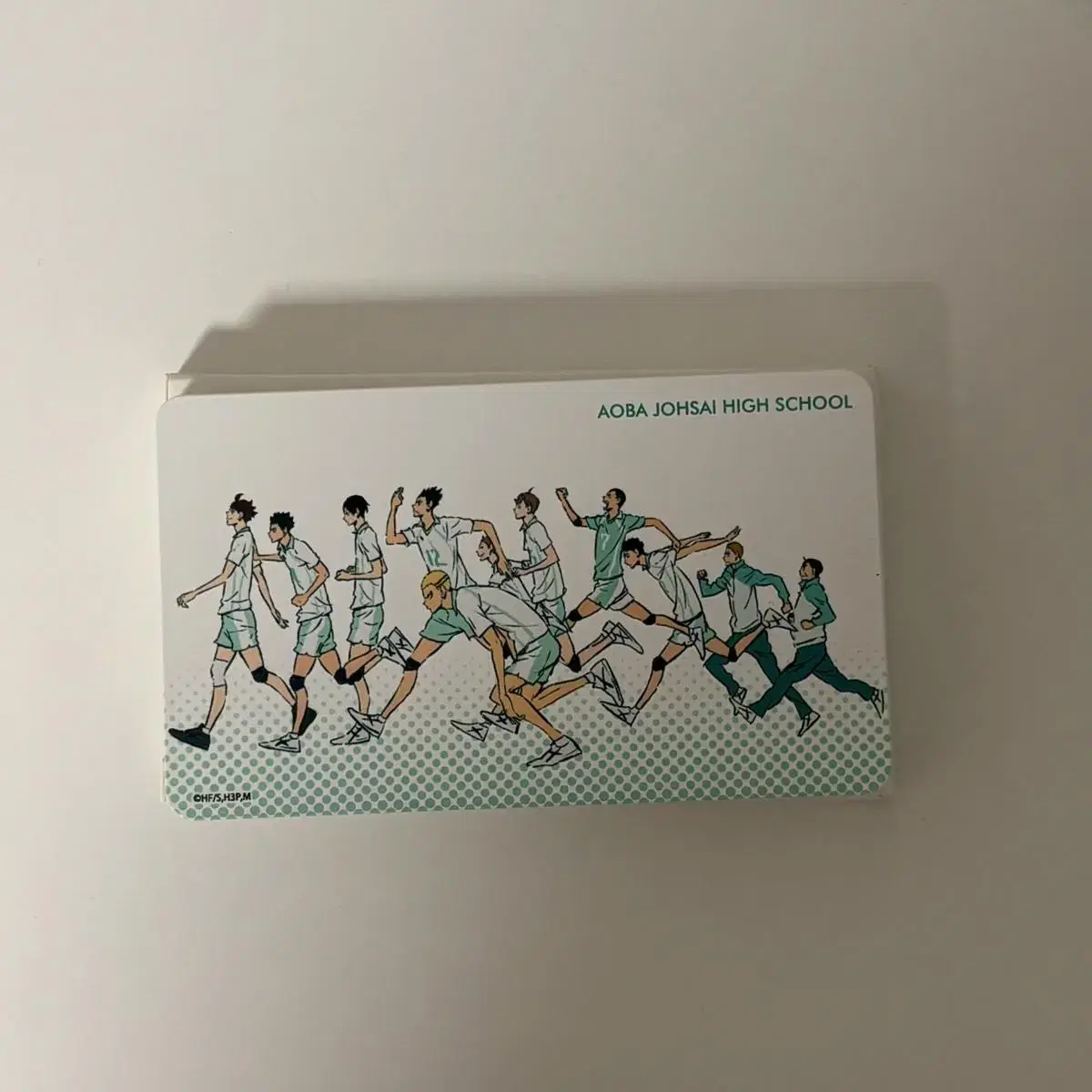 Haikyuu Oikawa Aoba Josai Seijo Power Bank