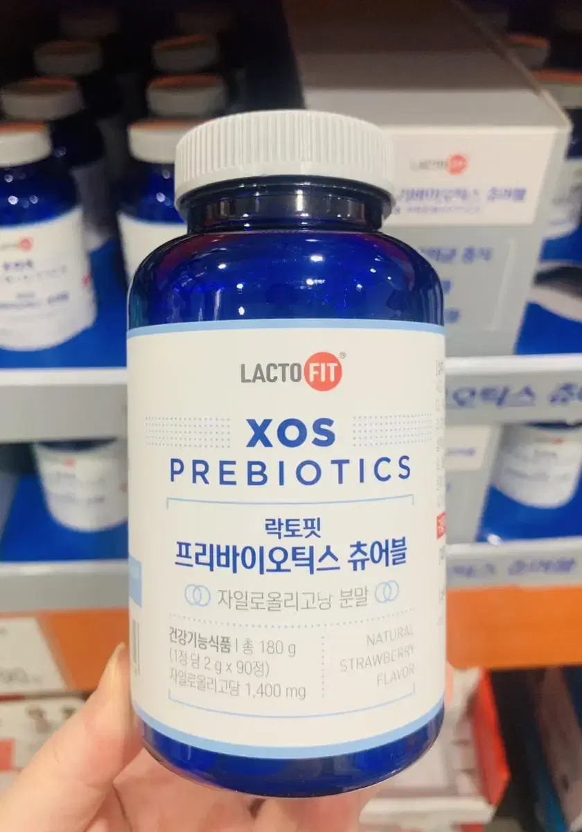 락토핏 XOS 프로바이오틱스 츄어블 90정