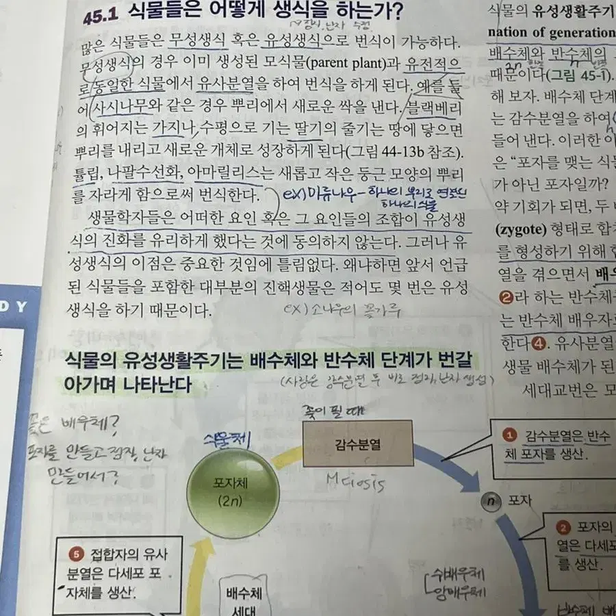 생명과학 11판