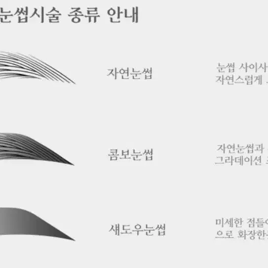 자연눈썹 모델분 구합니다.