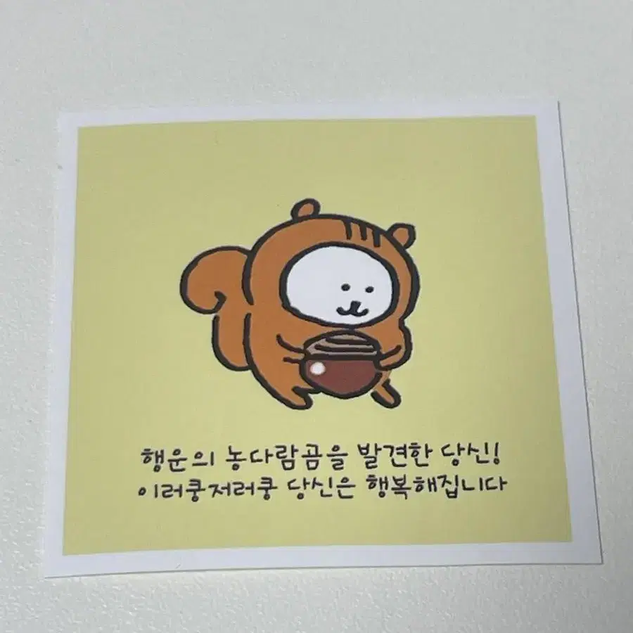 농다람쥐곰 도무송 농담곰