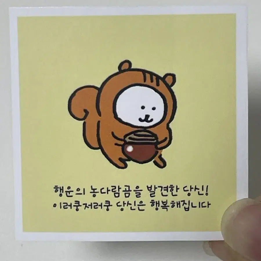 농다람쥐곰 도무송 농담곰