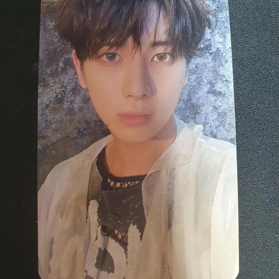 태현 포카/blue spring card