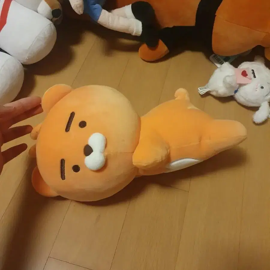 인형들