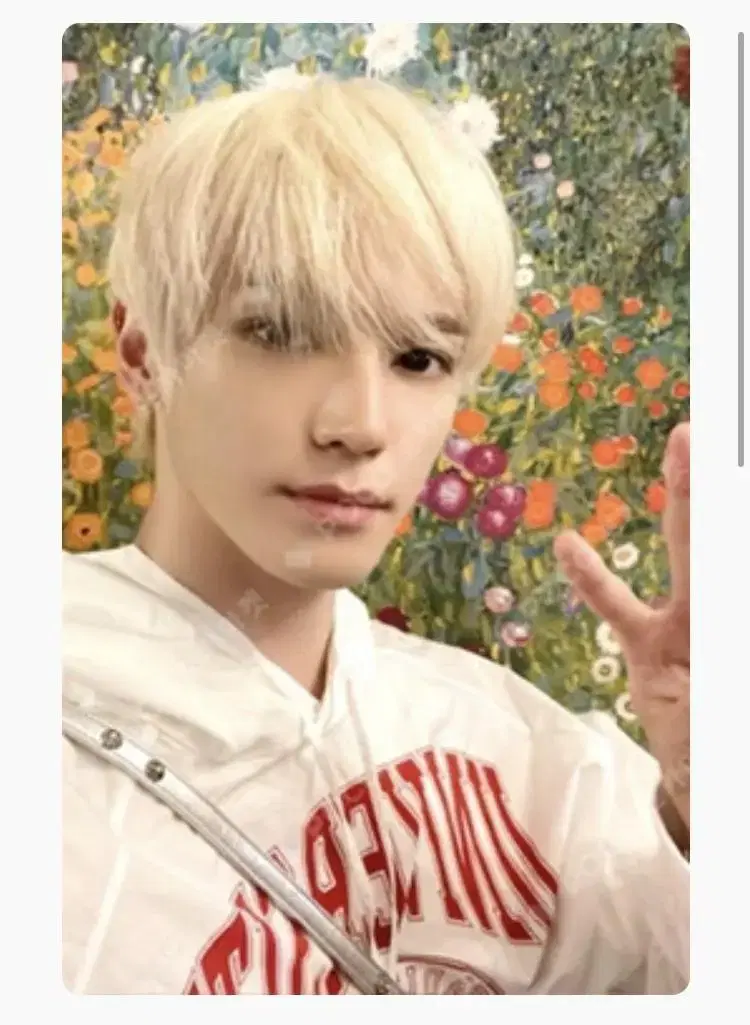 taeyong shimkorn AR slot photocard wts