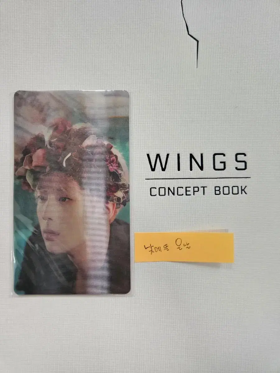 Wings Concept Book