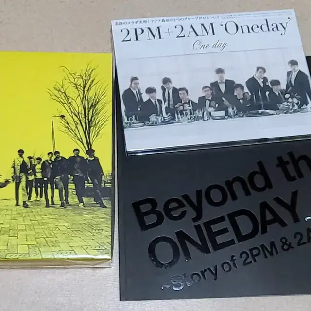 beyond the oneday- story of 2pm+2am 일괄